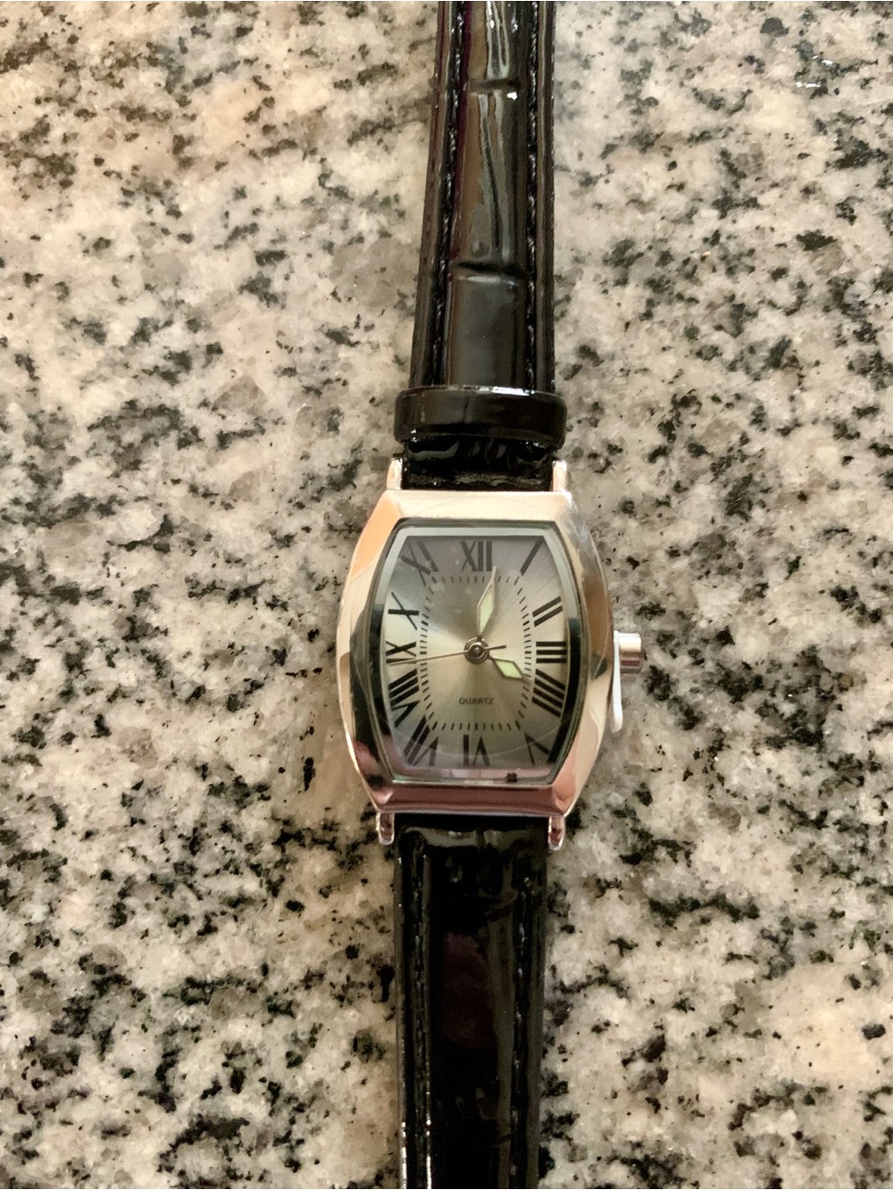 Elegant Black Strap Quartz Watch with Silver-toned Case